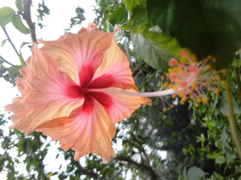 3 Days in Kuala Lumpur, Malaysia {On a Budget}