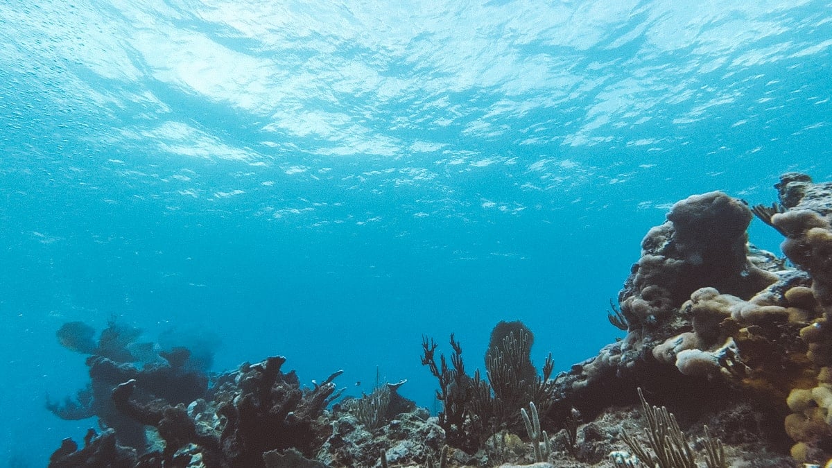 diving near tulum