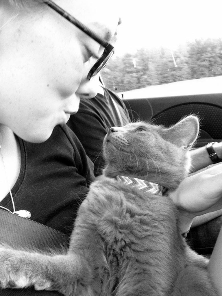 How We Travel FullTime With Our Cat Bucketlist Bri