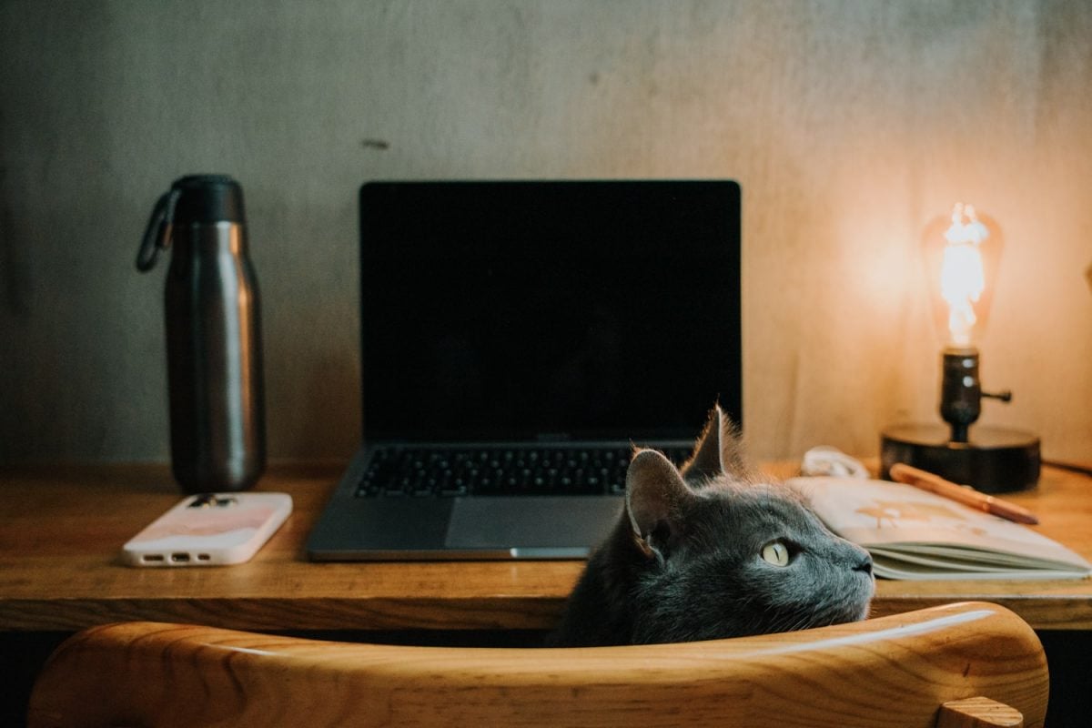 Top 10 Essential Gear & Equipment for Digital Nomads