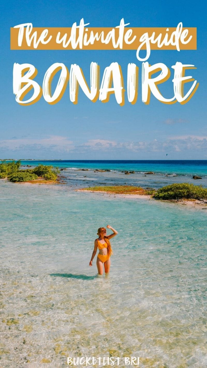The Ultimate Eco Guide to Bonaire Island (Dutch Caribbean)
