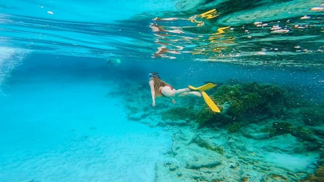 The Ultimate Eco Guide to Bonaire Island (Dutch Caribbean)
