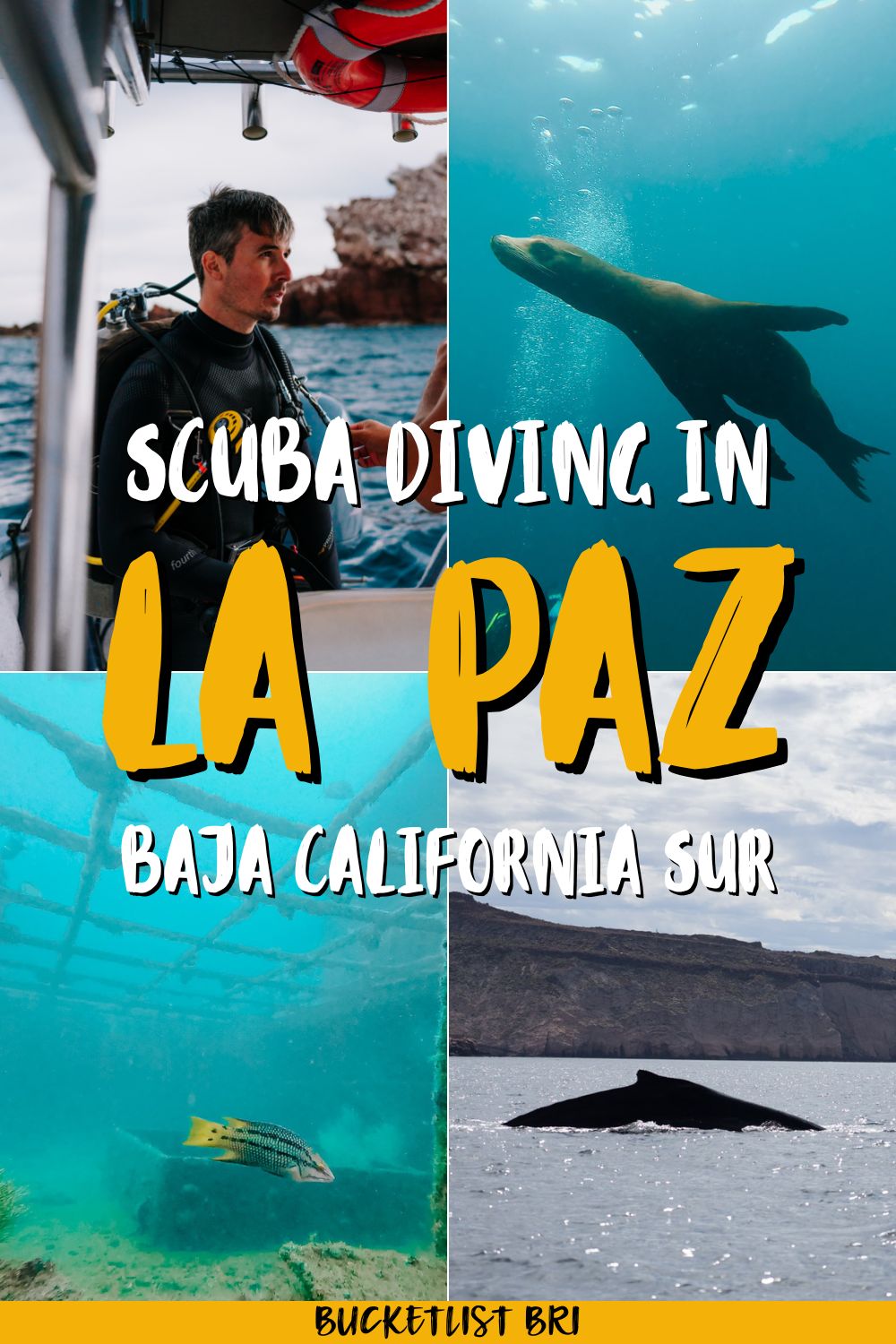 The Ultimate Guide to Scuba Diving in La Paz, Mexico