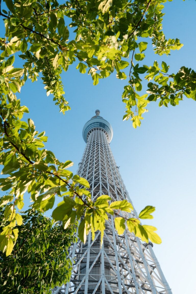 Tokyo in Summer: Where to Stay, Festivals, & How to Keep Cool